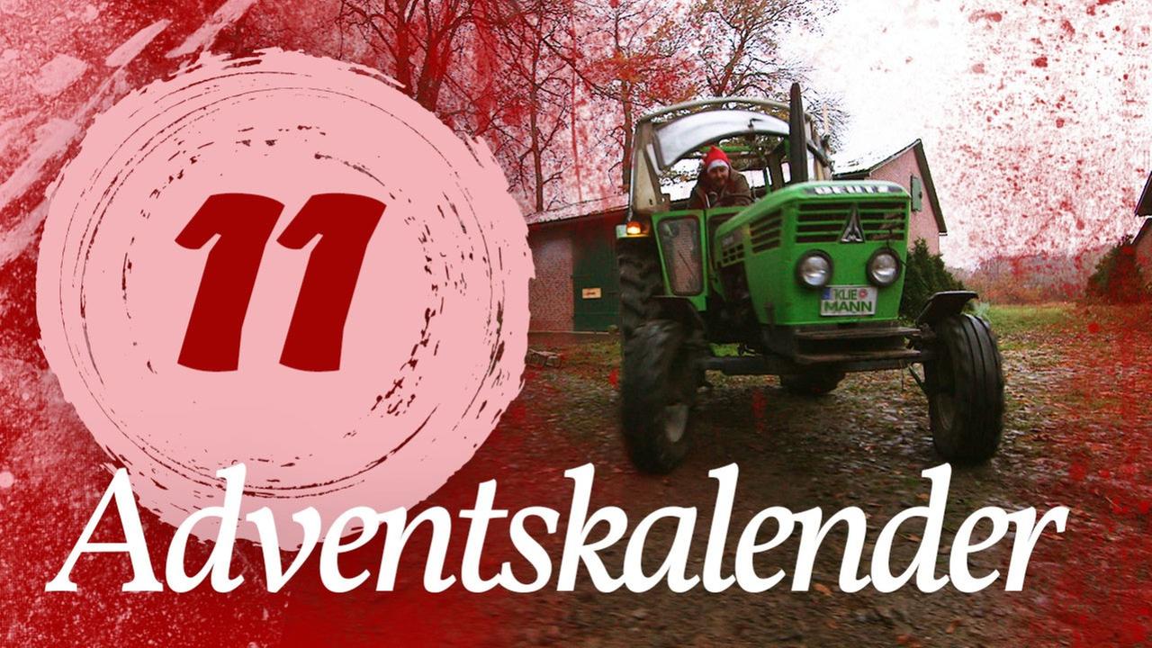 Adventskalender Türchen #11 - Schlittenfahrt - Kliemannsland