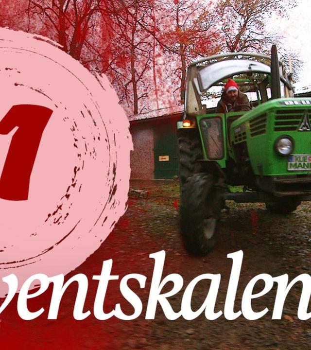 Adventskalender Türchen #11 - Schlittenfahrt - Kliemannsland