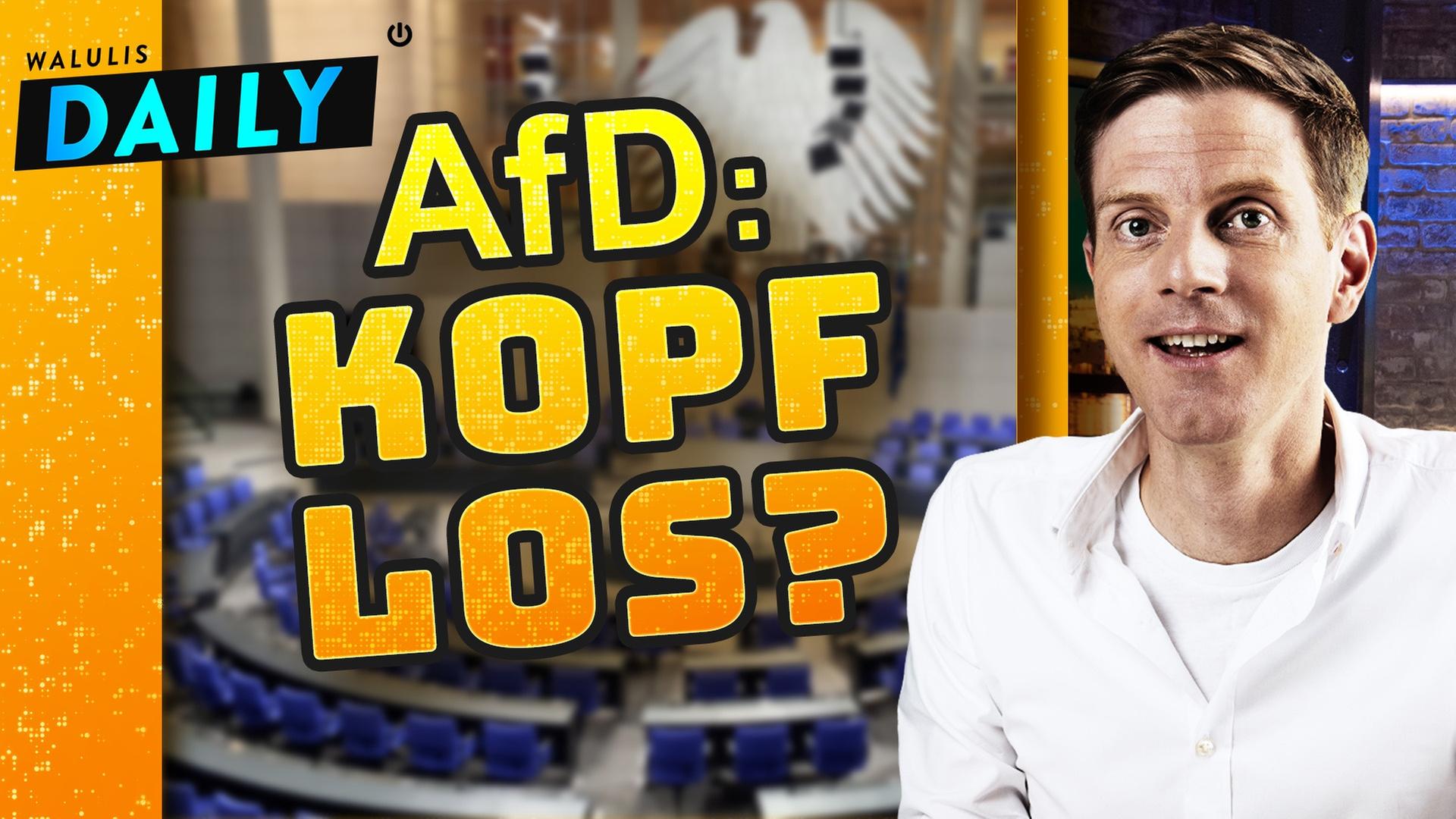 AfD: Der Skandal hinter dem Kopf-ab-Skandal - WALULIS DAILY