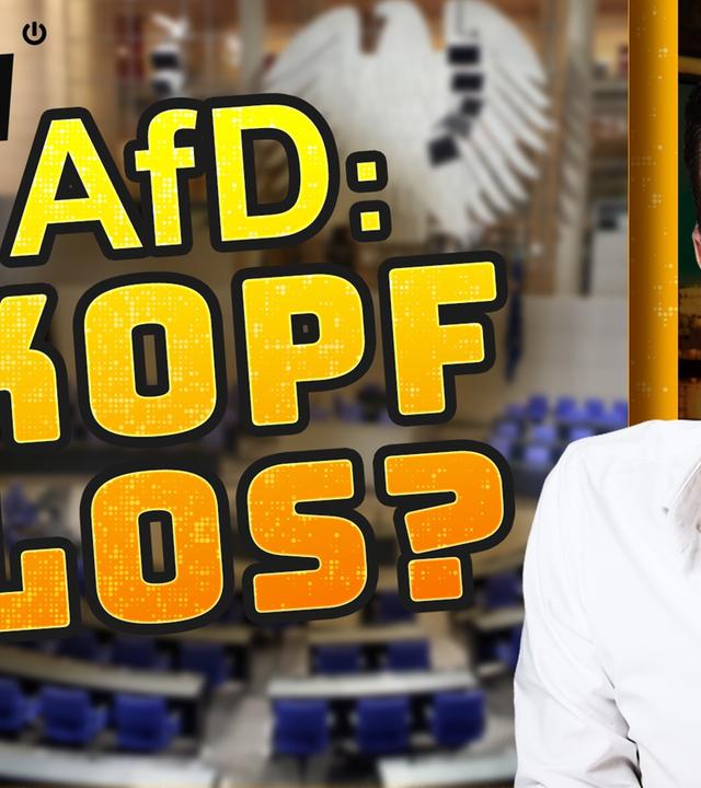 AfD: Der Skandal hinter dem Kopf-ab-Skandal - WALULIS DAILY