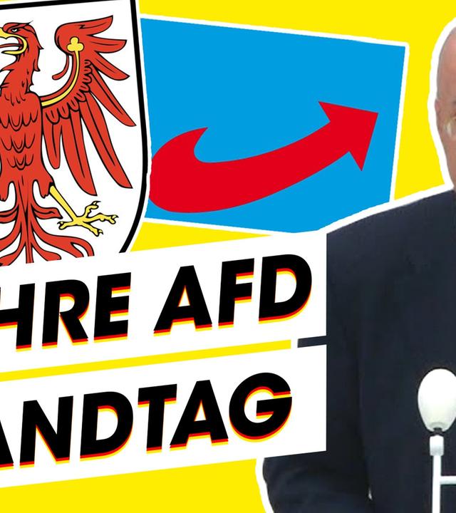 AfD in Brandenburg: Das hat sie geleistet!