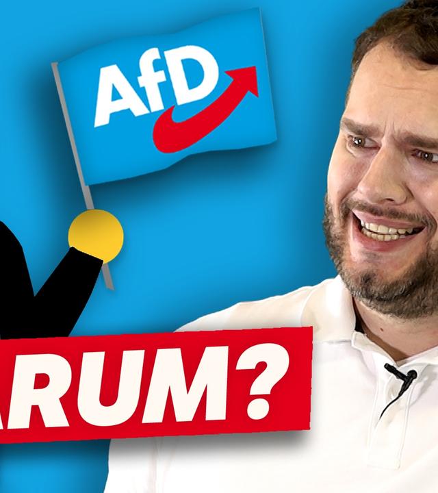 AfD in Sachsen in Zukunft UNSCHLAGBAR?