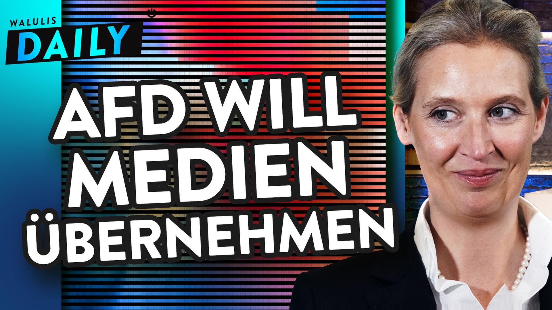 AFD-Plan: Erst rumheulen, dann Medienimperium aufbauen - WALULIS DAILY