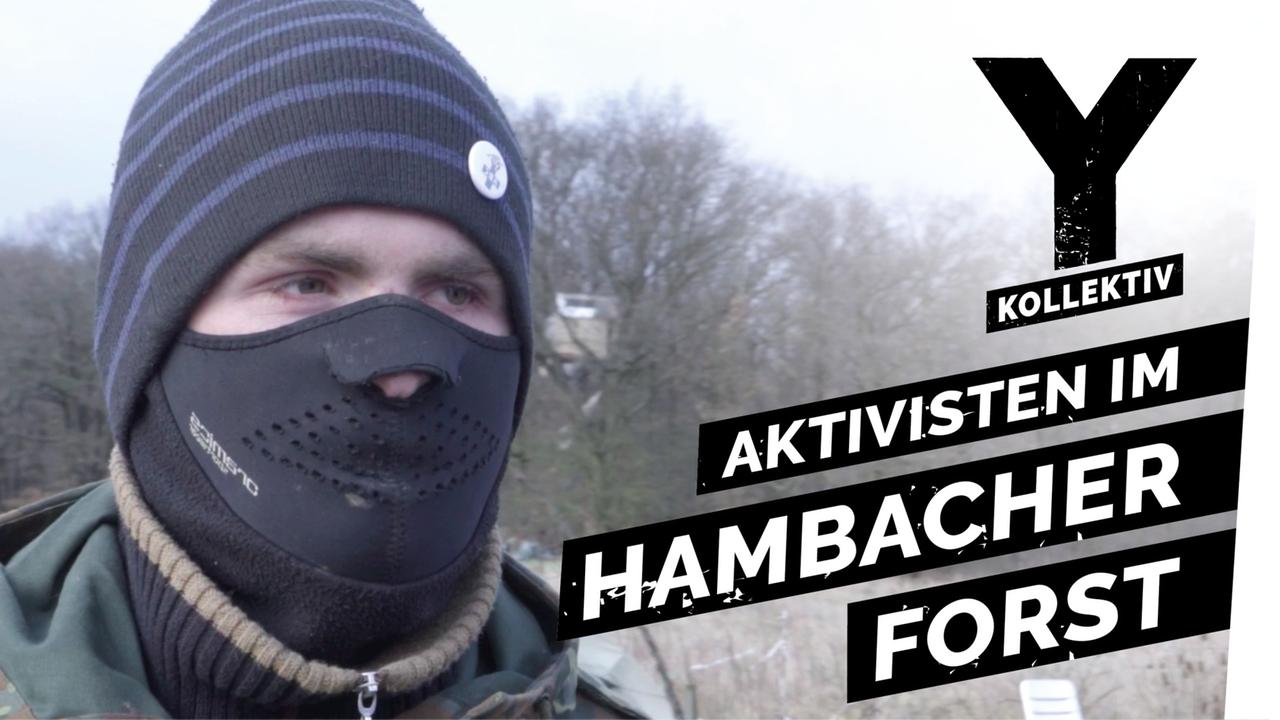 Aktivisten gegen Industriegigant RWE - kämpfen für den Hambacher Forst