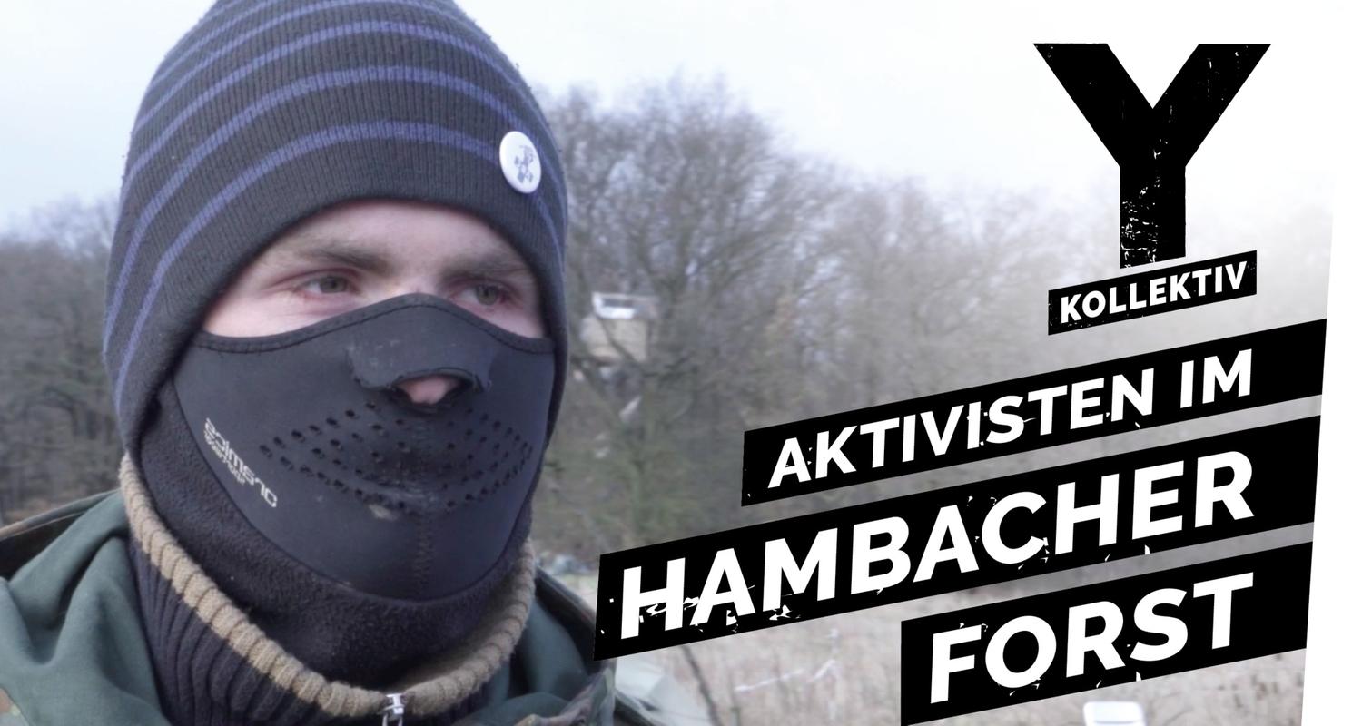 Aktivisten gegen Industriegigant RWE - kämpfen für den Hambacher Forst