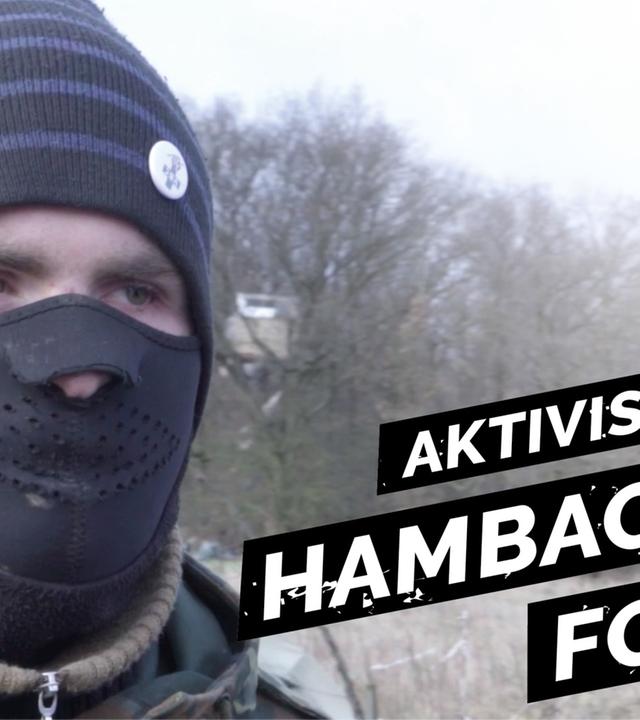 Aktivisten gegen Industriegigant RWE - kämpfen für den Hambacher Forst