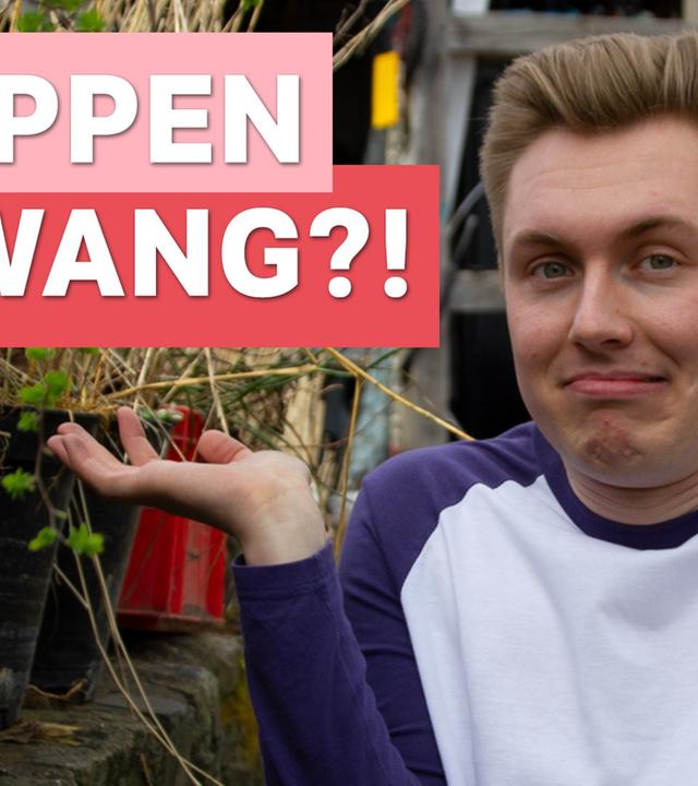 Alkohol und Coolness??Das musst du beim Trinken beachten!Auf Klo mit Tomatolix