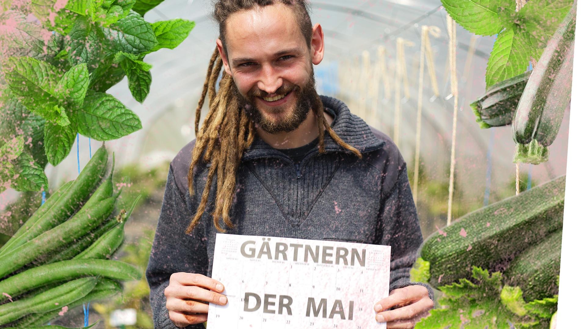 Alles muss raus! Was du im Mai pflanzen solltest