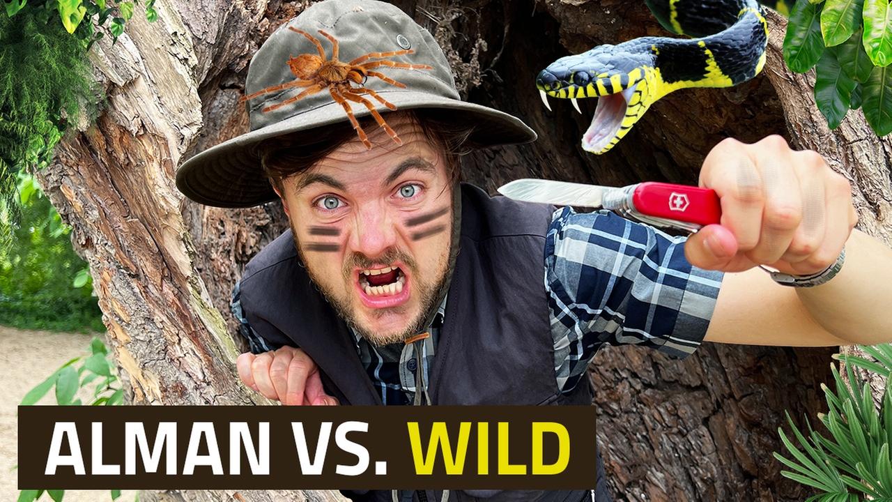 ALMAN vs. Wild #7vsWildCard