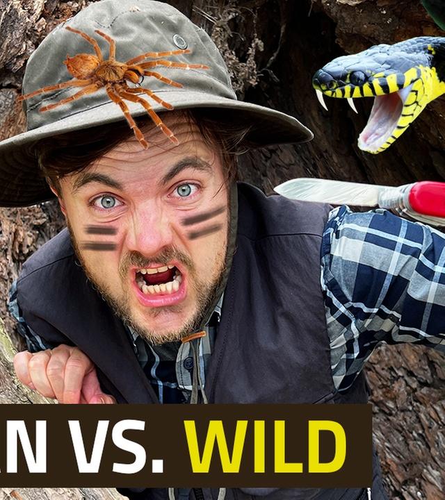 ALMAN vs. Wild #7vsWildCard