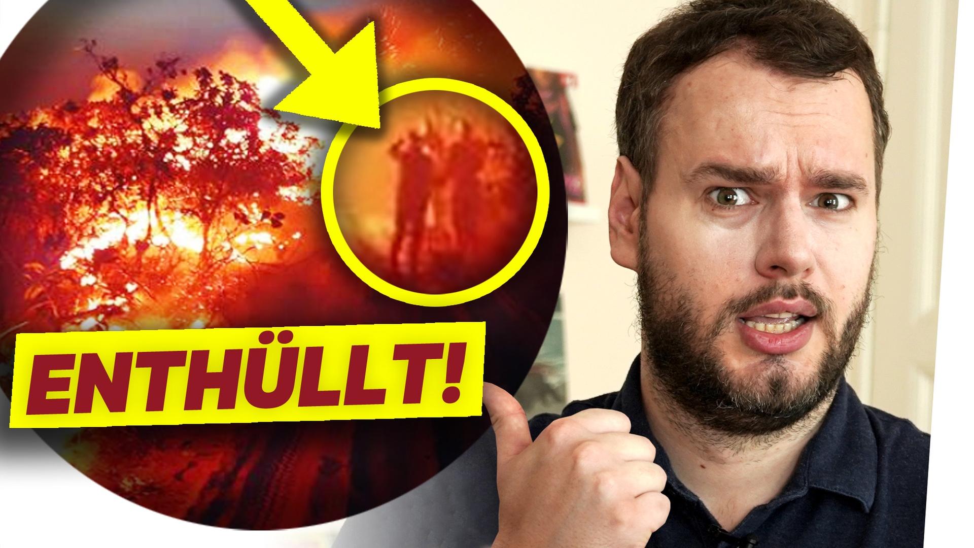 AMAZONAS-VERSCHWÖRUNG: Die WAHRHEIT über das Feuer im Regenwald