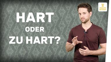 Antisemitischer Rap - Kollegah - Farid Bang - musstewissen Geschichte