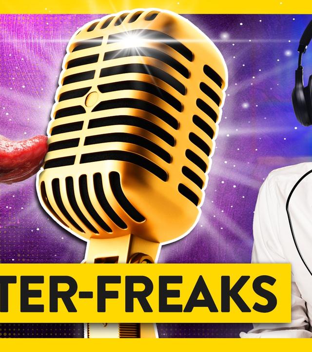 ASMR: Das steckt hinter der Faszination - WALULIS