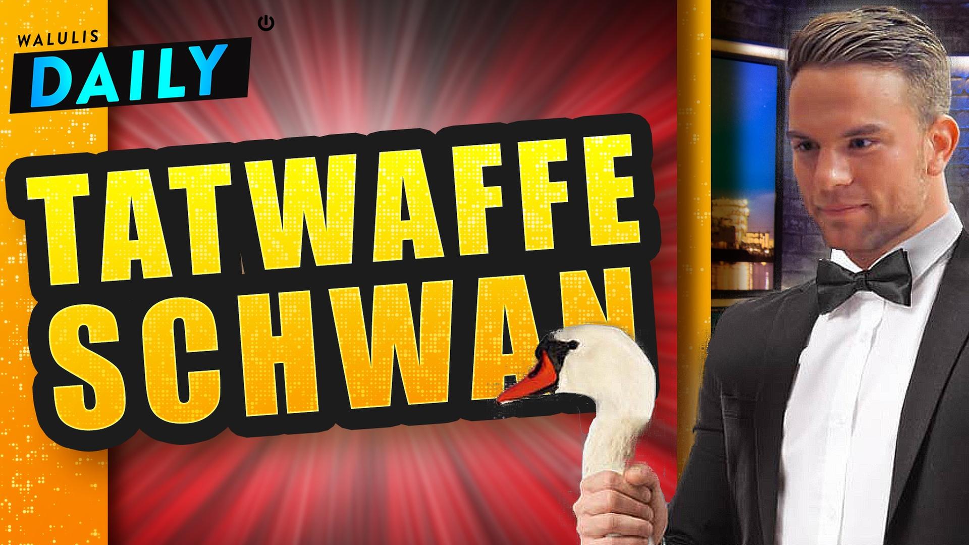 Bachelor verprügelt Ossi mit Schwan - WALULIS DAILY
