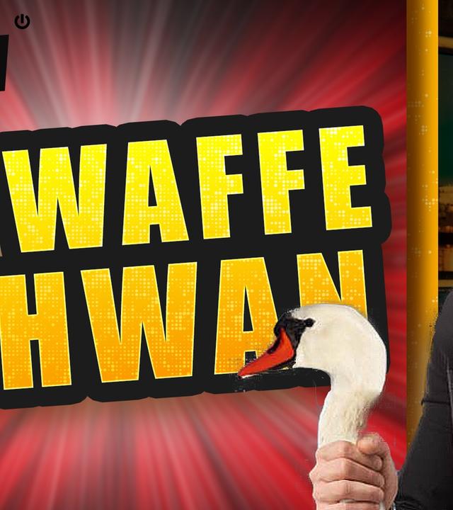 Bachelor verprügelt Ossi mit Schwan - WALULIS DAILY