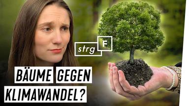 Bild des Herkunftsvideos in der ZDF Mediathek