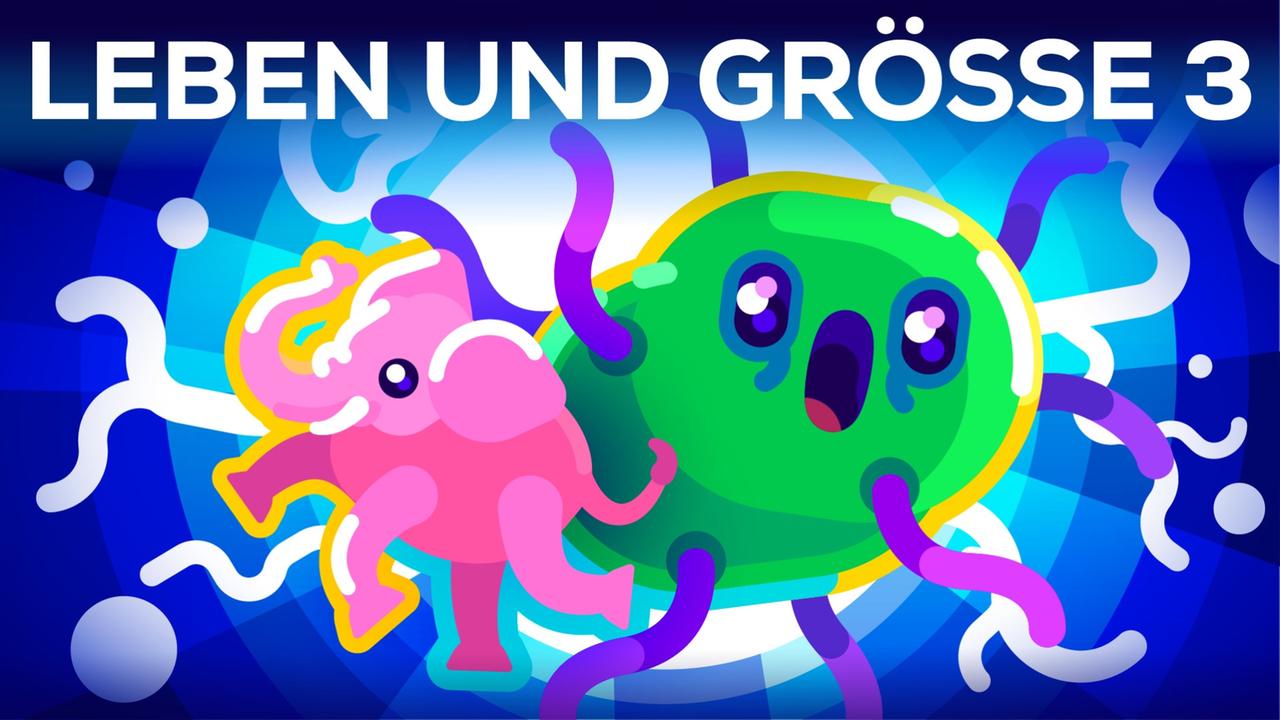 Bakterien so groß wie Blauwale - Leben & Größe 3
