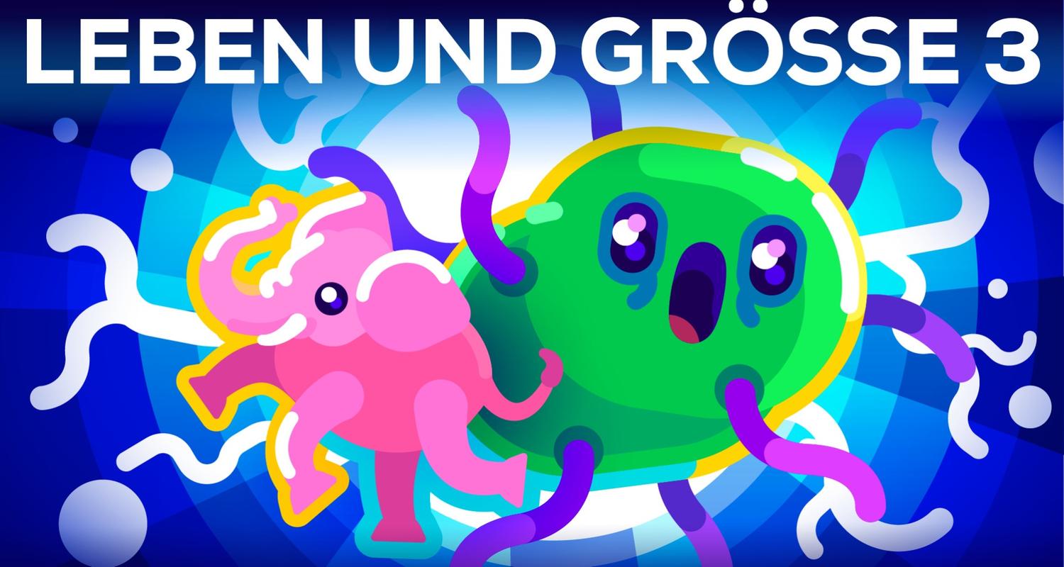 Bakterien so groß wie Blauwale - Leben & Größe 3