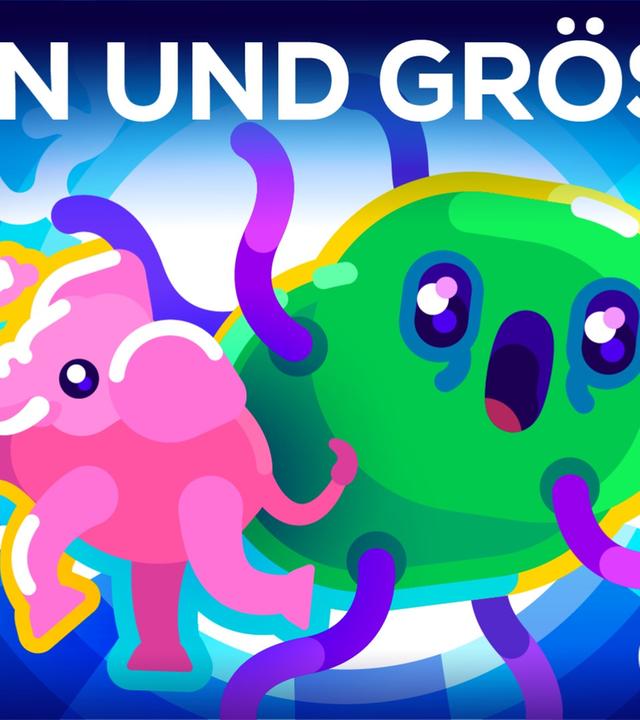 Bakterien so groß wie Blauwale - Leben & Größe 3