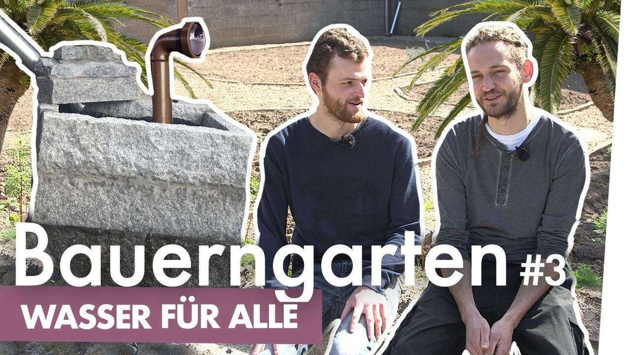 Bauerngarten Teil 3 – Brunnenwasser für alle - Kliemannsland
