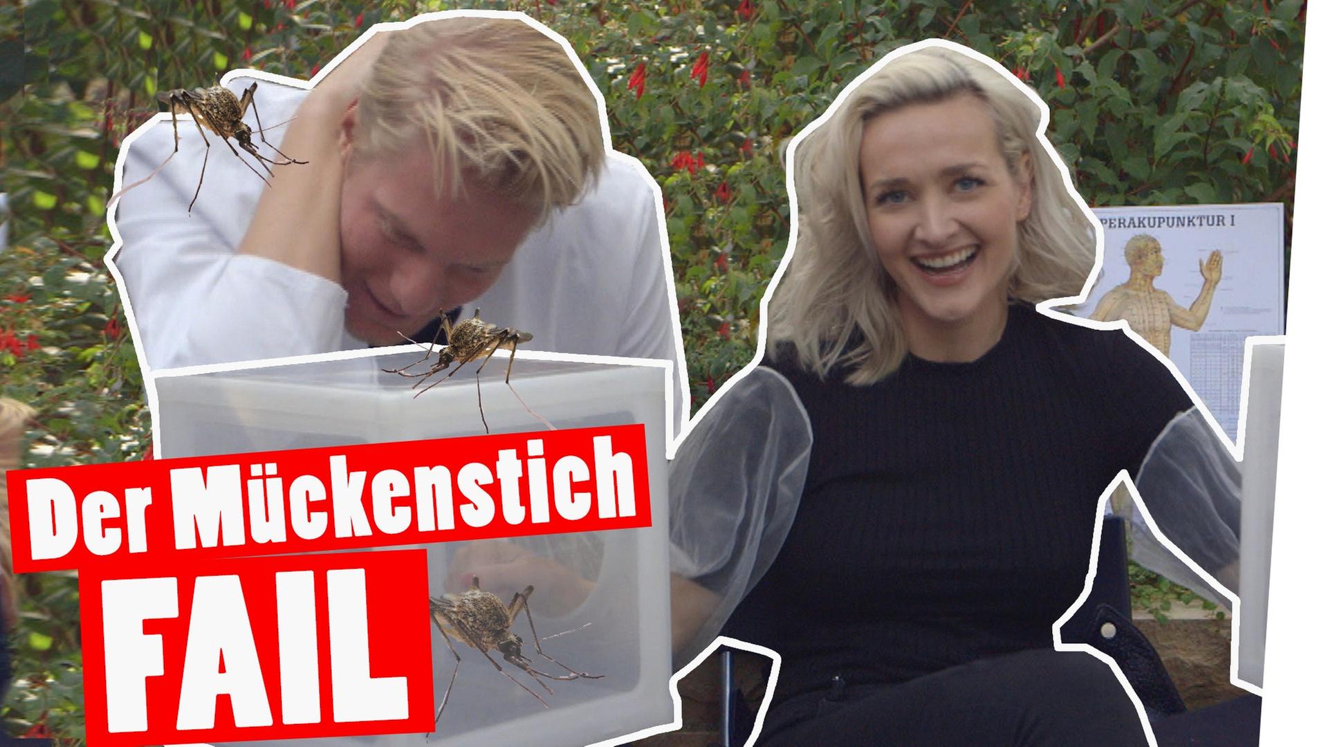 Bestrafung: Der große Mückenstich-FAIL -- "Das schaffst du nie!"