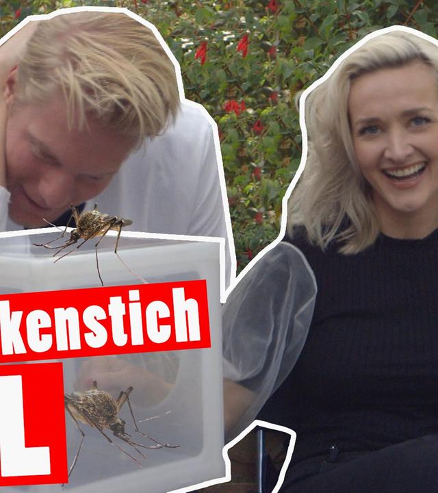 Bestrafung: Der große Mückenstich-FAIL -- "Das schaffst du nie!"