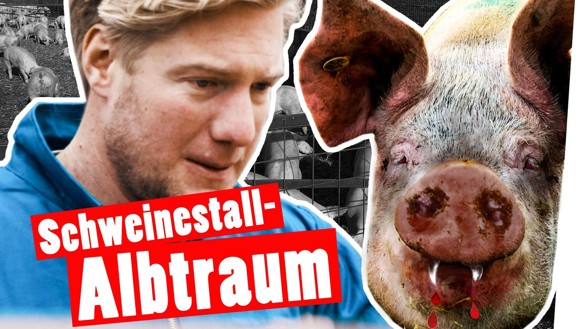 Bestrafung: Marc kriegt Panik im Schweinestall -- Das schaffst du nie!