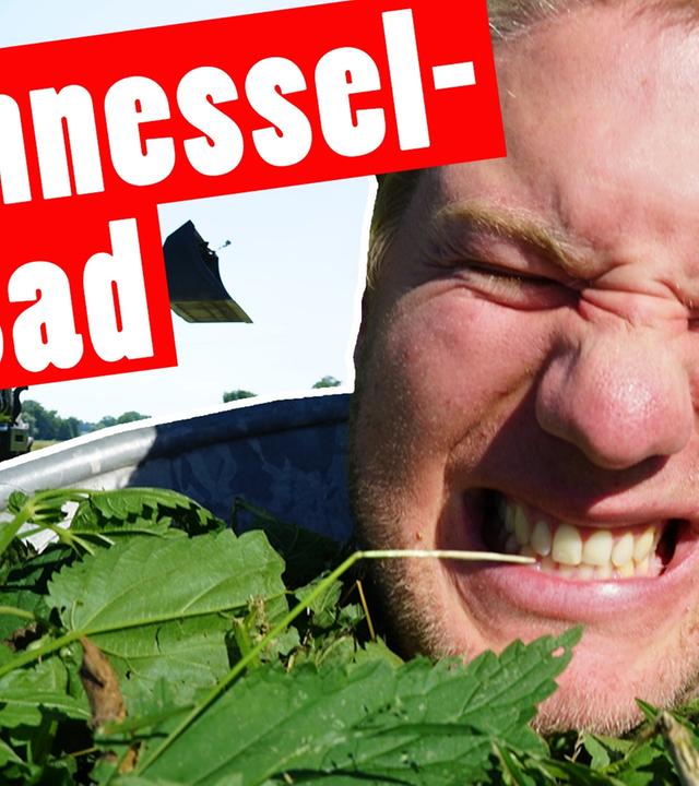 Bestrafung Marc muss ins Brennnessel-Bad -- „Das schaffst du nie!“