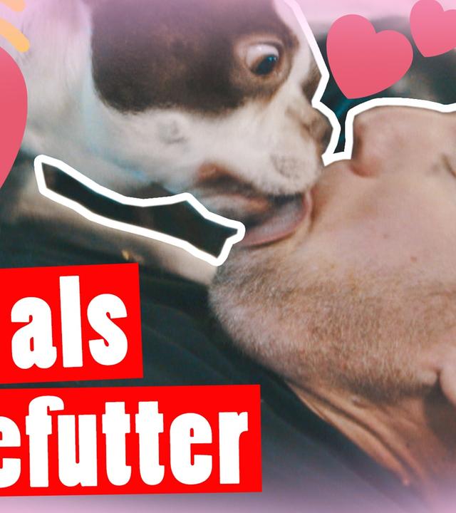 Bestrafung: Marc wird zum menschlichen Hundefutter! II Das schaffst du nie!