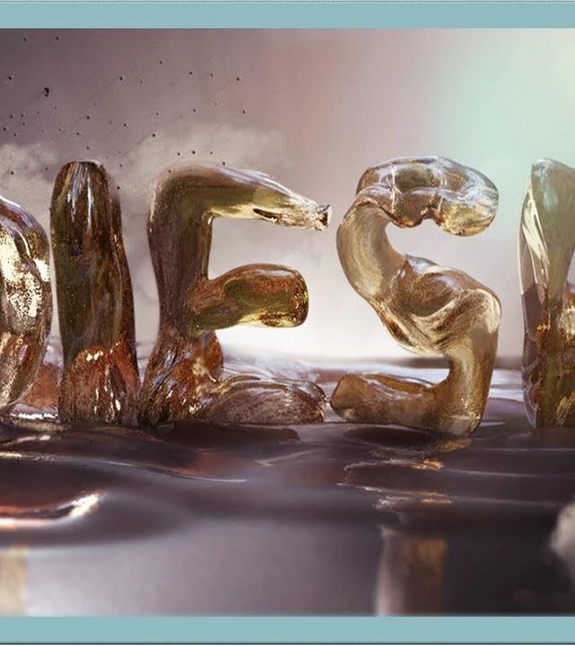 Betrug & Manipulation: Der Diesel-Skandal