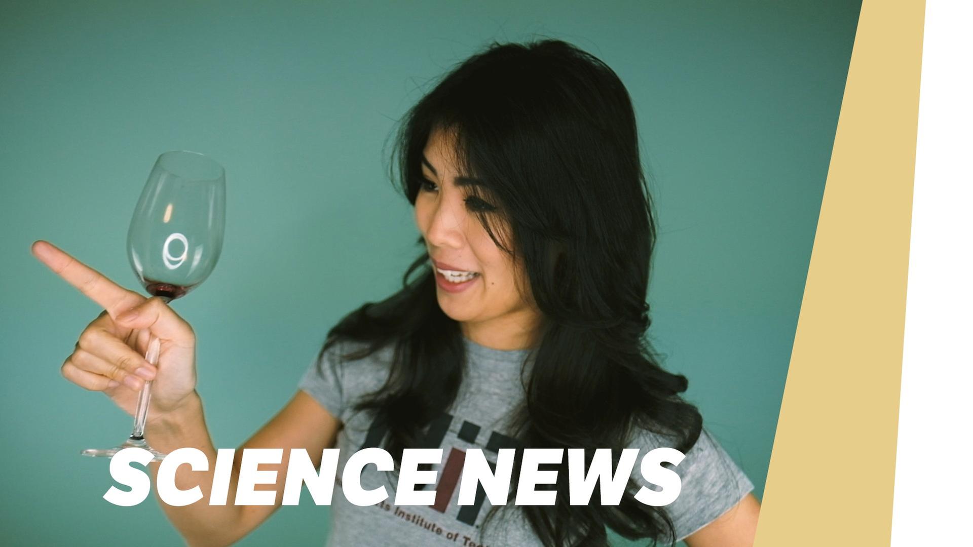 Betrunken besser in Fremdsprachen - SCIENCE NEWS