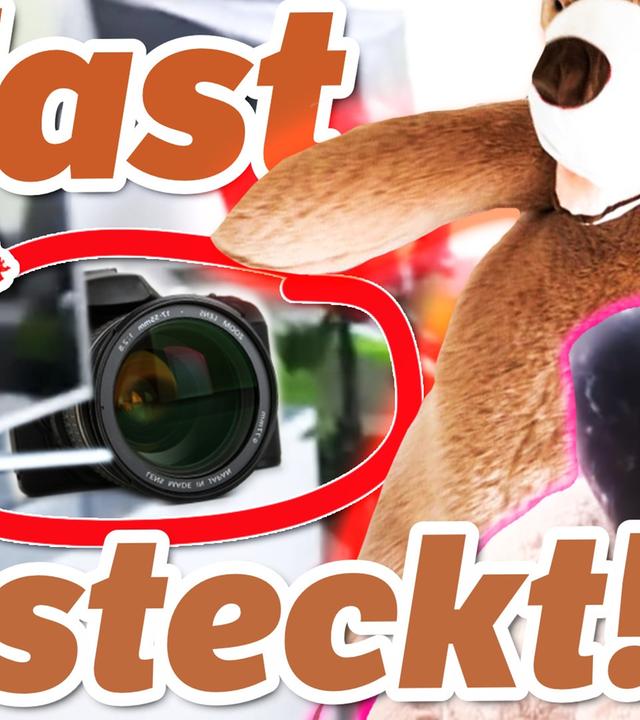 Bindet uns HeyMoritz einen Bär auf?! ?? XXXXXXXXL-Teddy-LÜGE von Rebekah Wing & Prankbros.