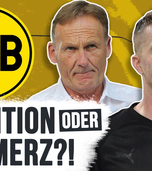 BVB: Echte Liebe zum Kommerz?! - Analyse