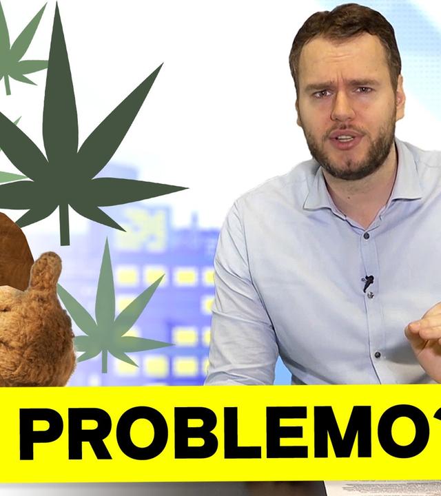 Cannabis bald LEGAL?