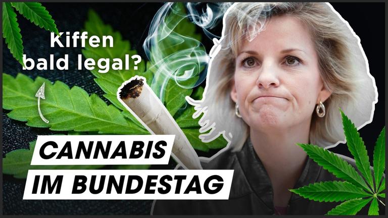 Cannabis: Der große Parteien-Check