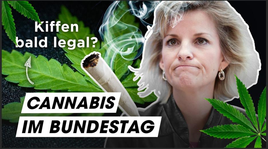 Cannabis: Der große Parteien-Check