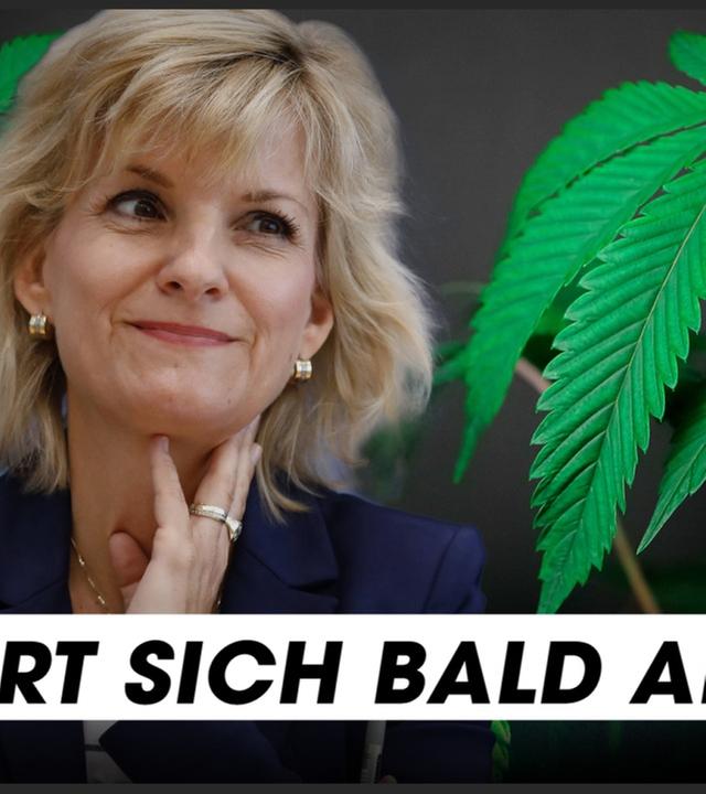 Cannabis: Der große Wahl-Check!
