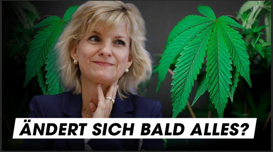 Cannabis: Der große Wahl-Check!