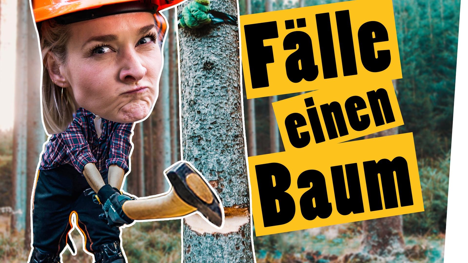 Challenge: Fäll einen Baum und treffe damit ein Ziel -- Das schaffst du nie!