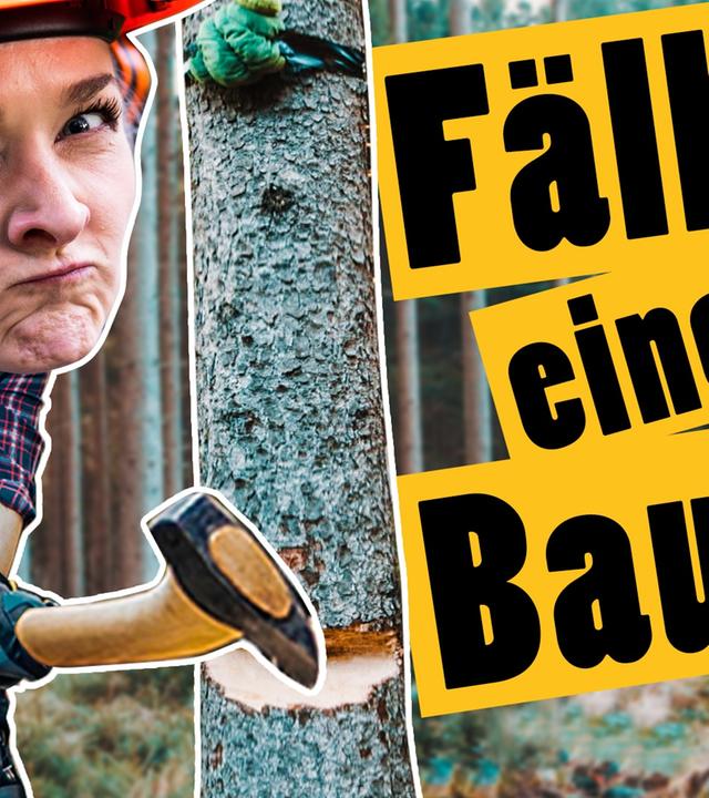 Challenge: Fäll einen Baum und treffe damit ein Ziel -- Das schaffst du nie!