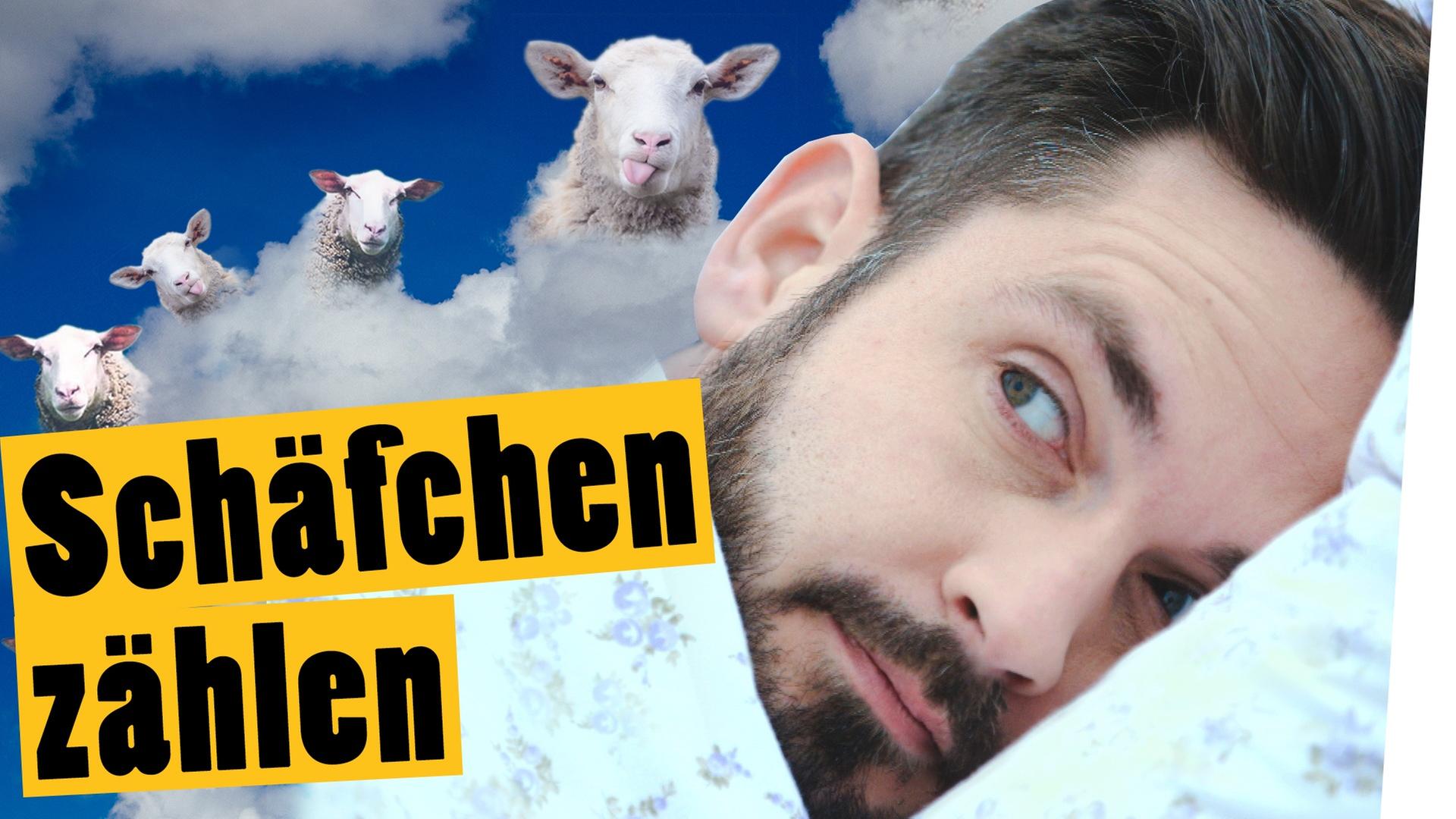 Challenge: Zähle eine Schafherde in 1 Stunde -- „Das schaffst du nie!“