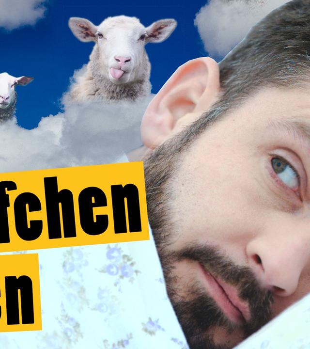 Challenge: Zähle eine Schafherde in 1 Stunde -- „Das schaffst du nie!“