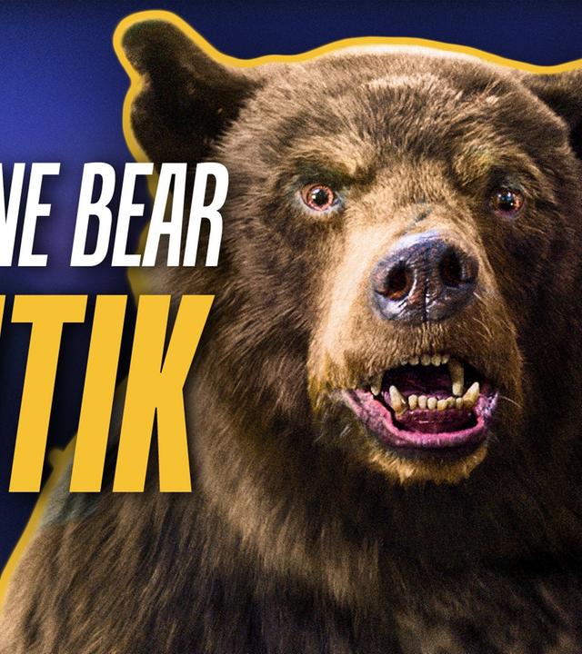 COCAINE BEAR: Für mich absolut unterbewertet! Kritik (2022)