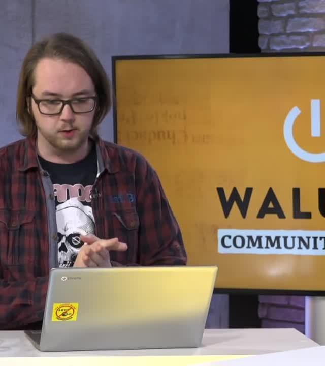 Community Service 10 - Die große Live-Show - WALULIS