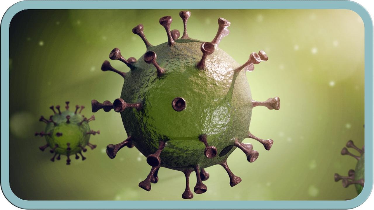 Coronavirus: So gefährlich ist es wirklich - Faktencheck