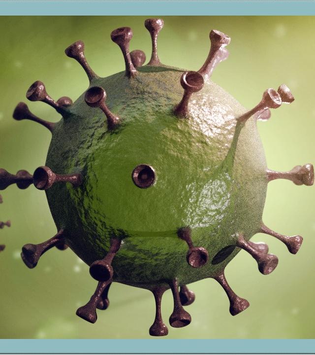 Coronavirus: So gefährlich ist es wirklich - Faktencheck