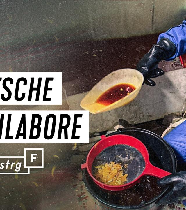 Crystal, Speed, MDMA: Drogenlabore in Deutschland - STRG_F