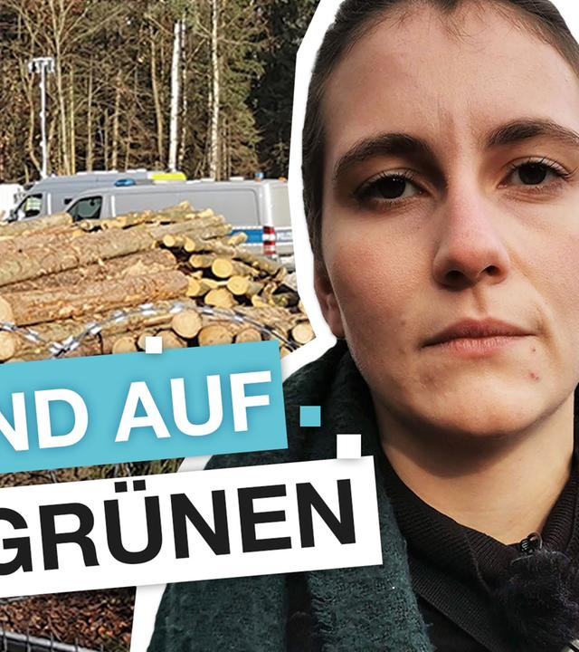 Dannenröder Forst & A49: Verraten die Grünen die Umweltbewegung? I reporter