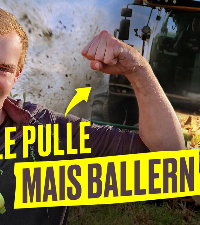 DARUM ist Maisernte so geil I Hundert Hektar Heimat