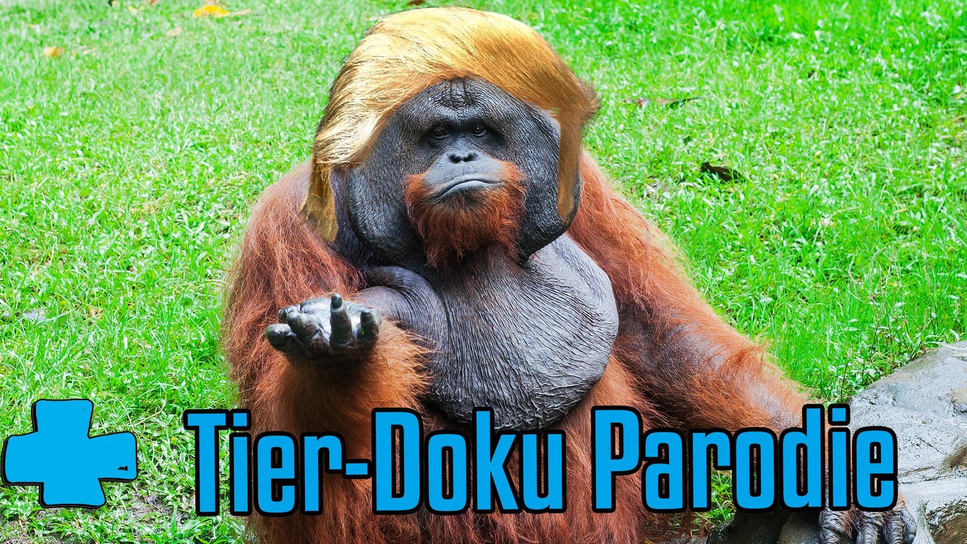 Das gemeine Trump - eine Tierdoku [Sketch Plus]